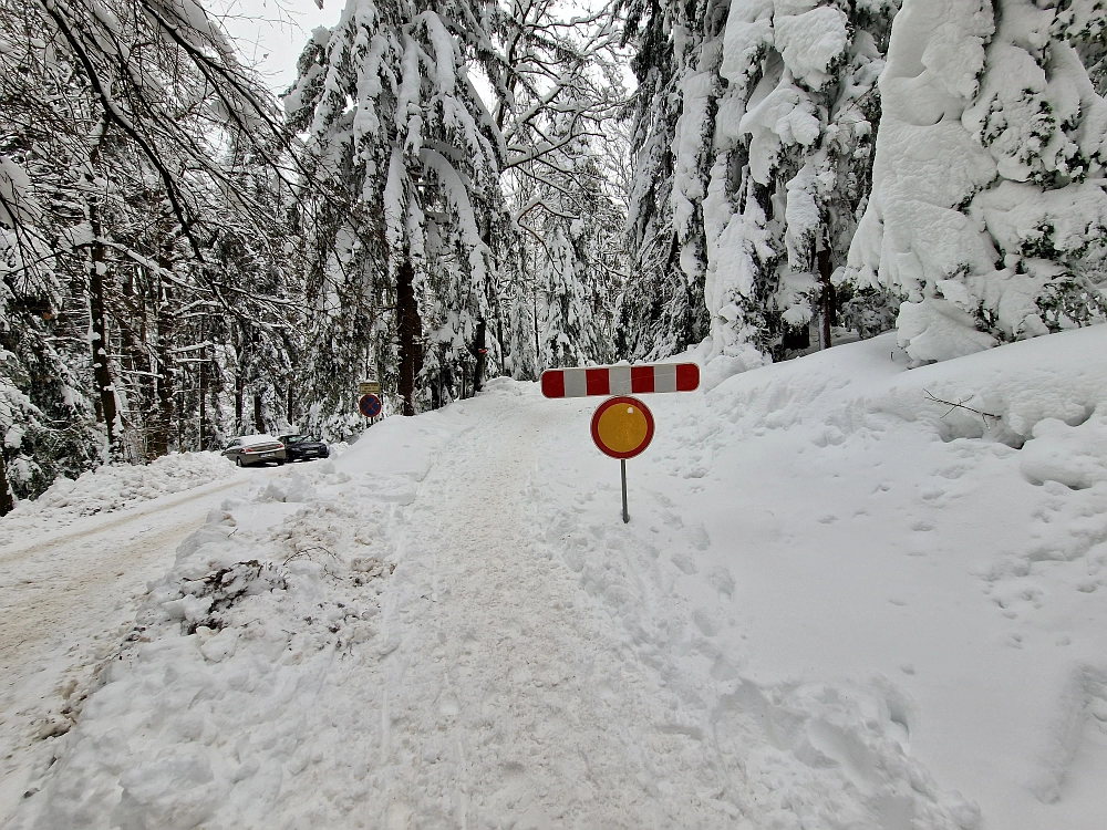 Slika je vidna v Google Chromu.