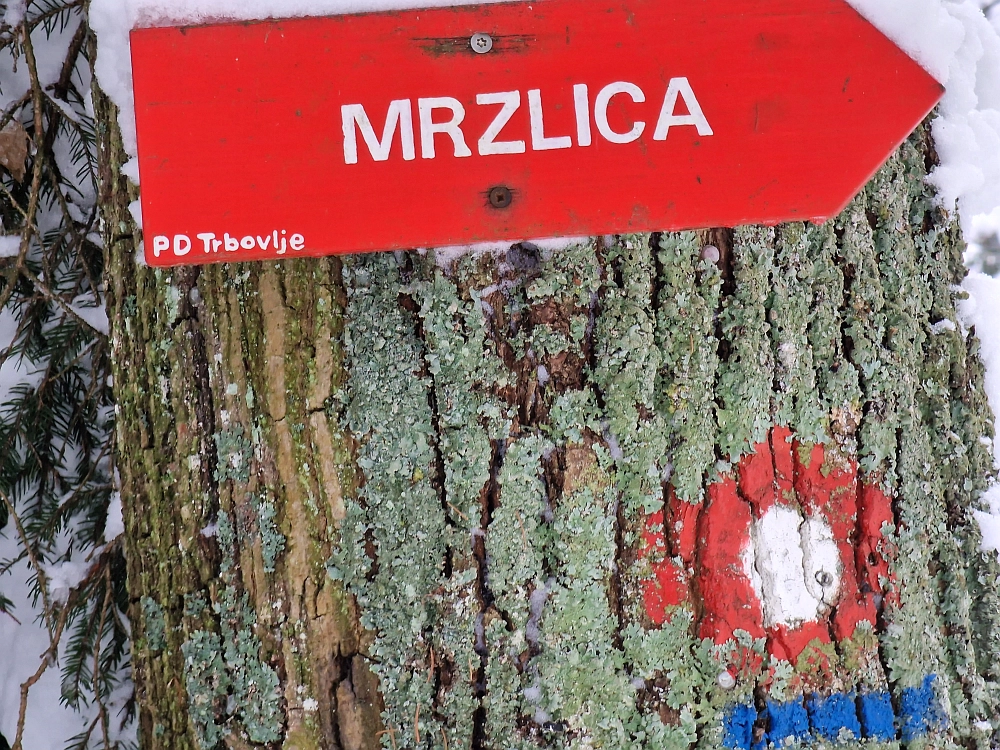 Slika je vidna v Google Chromu.