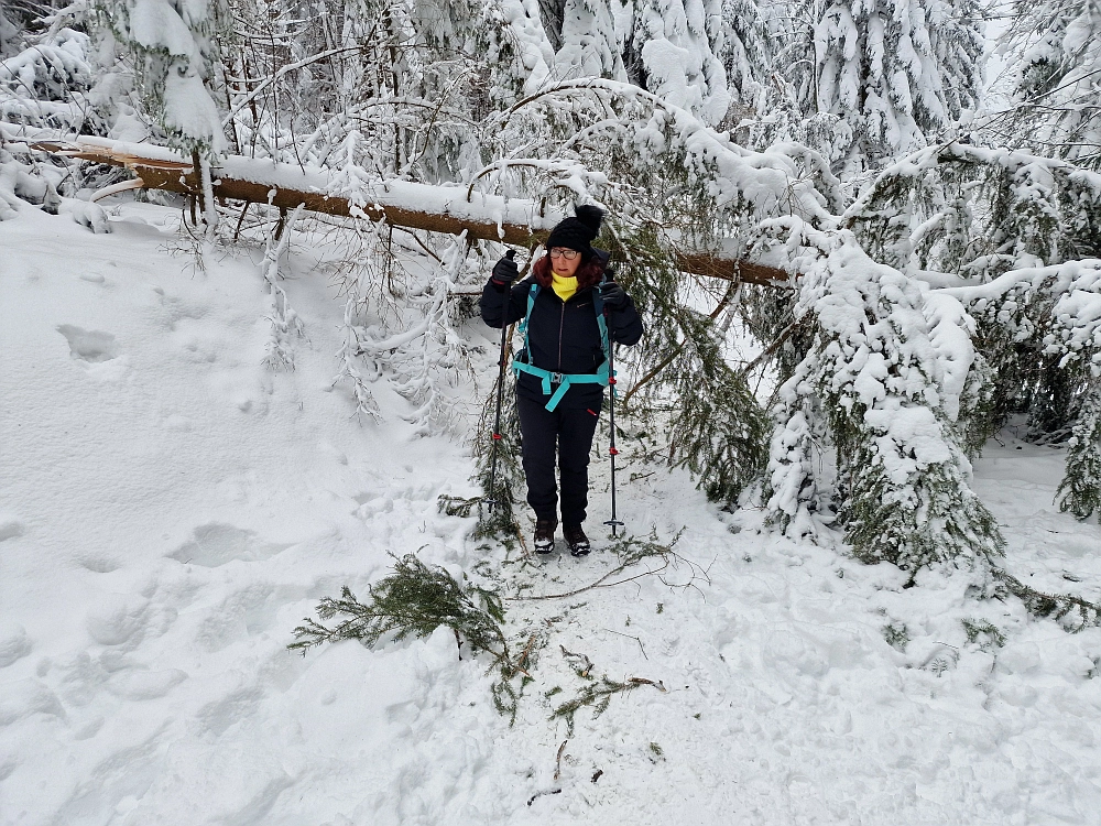 Slika je vidna v Google Chromu.