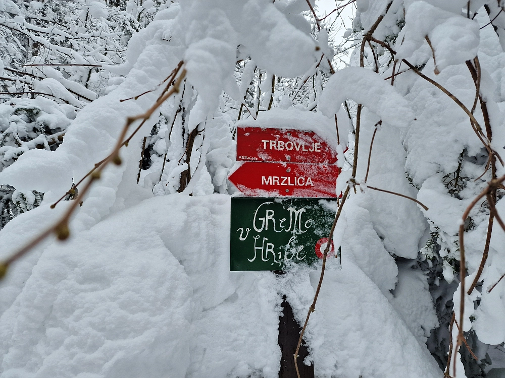 Slika je vidna v Google Chromu.