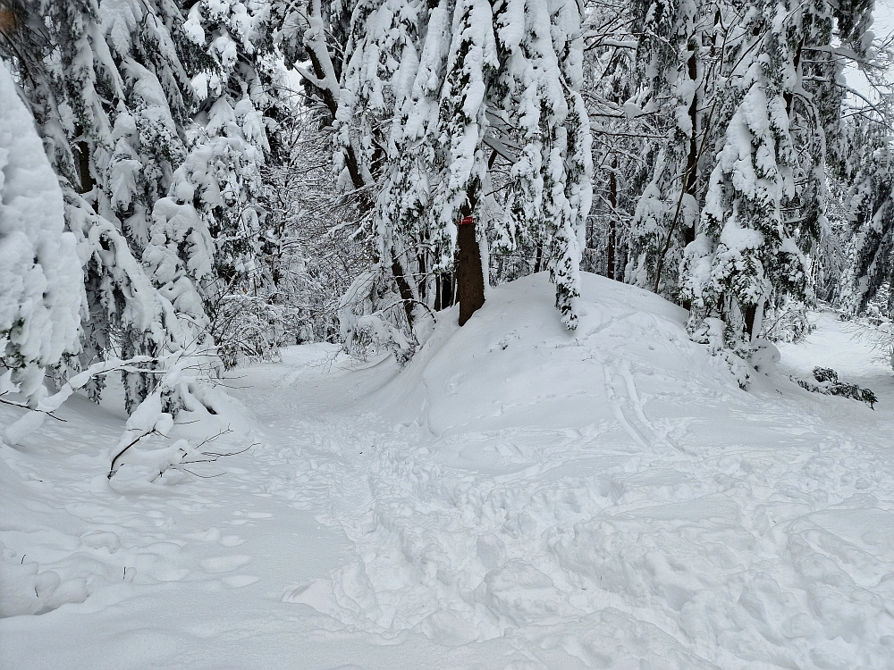 Slika je vidna v Google Chromu.