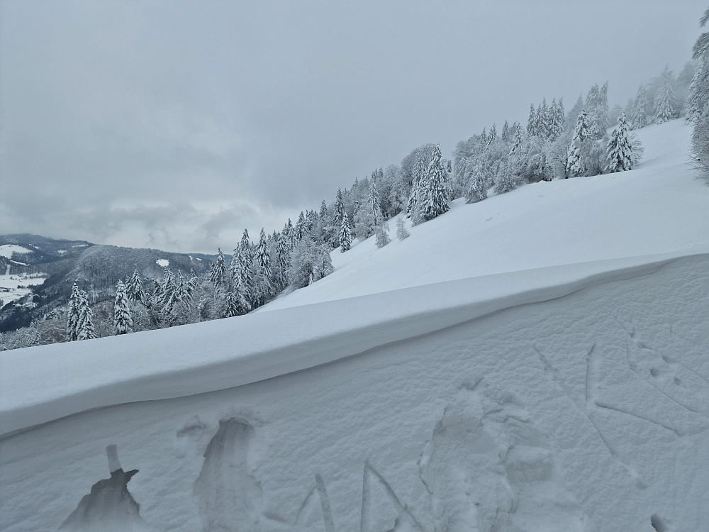 Slika je vidna v Google Chromu.