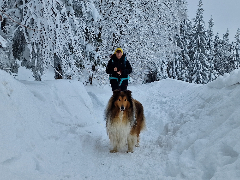 Slika je vidna v Google Chromu.