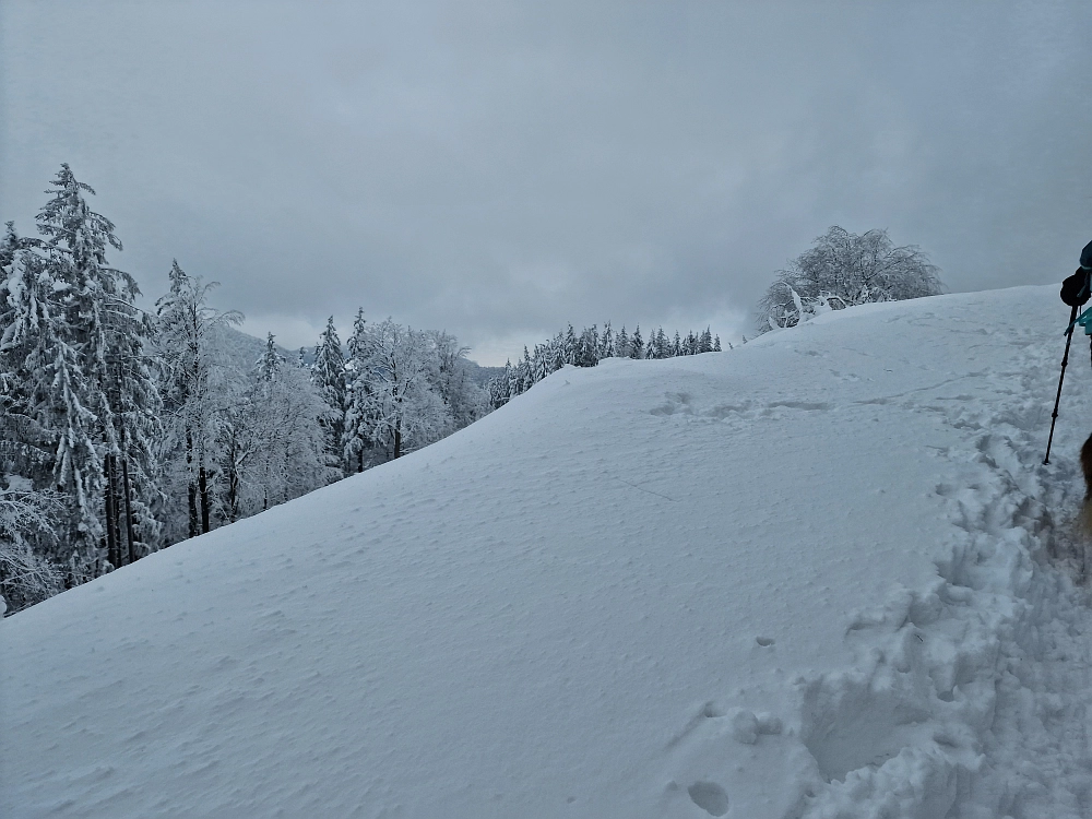 Slika je vidna v Google Chromu.
