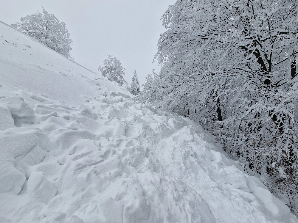 Slika je vidna v Google Chromu.