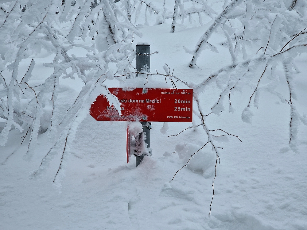 Slika je vidna v Google Chromu.