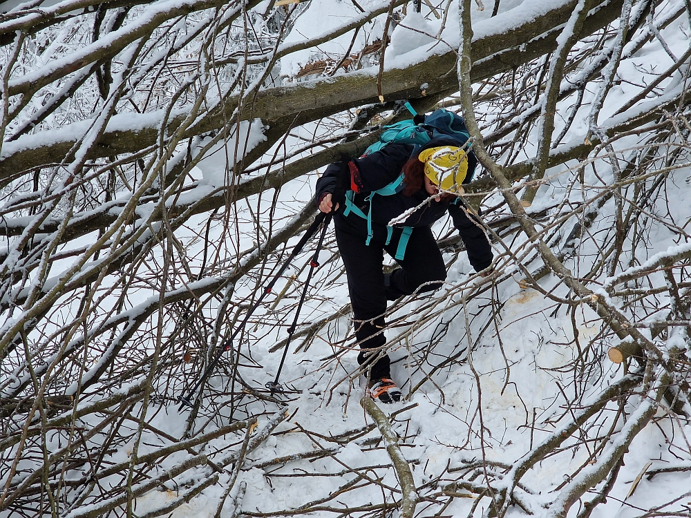 Slika je vidna v Google Chromu.
