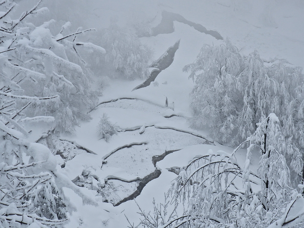 Slika je vidna v Google Chromu.