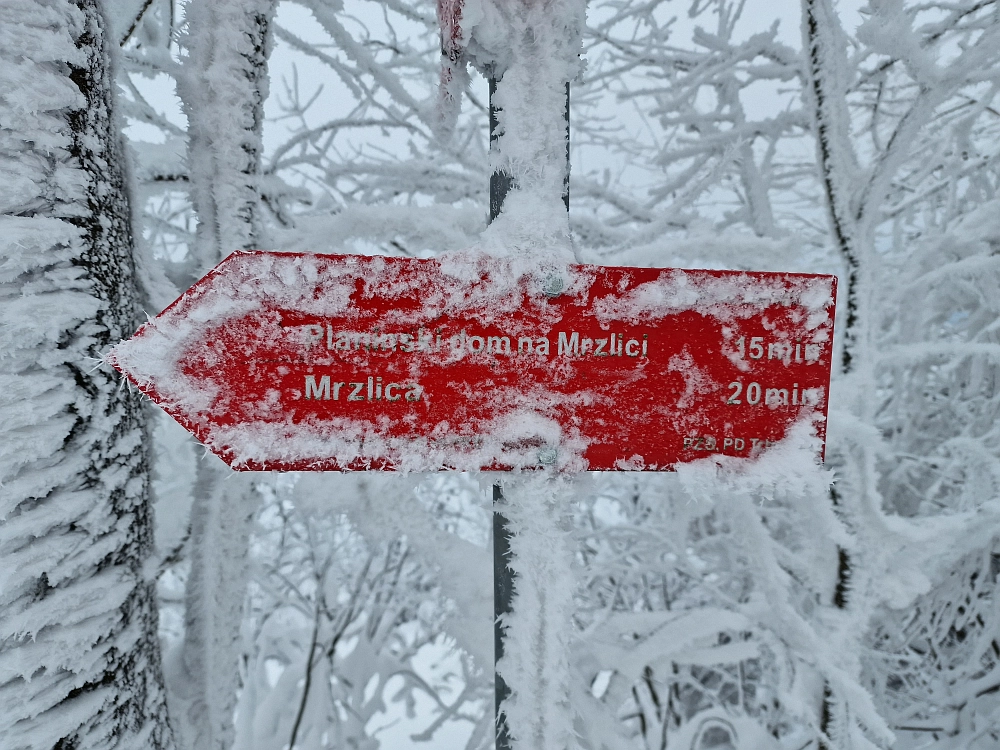 Slika je vidna v Google Chromu.