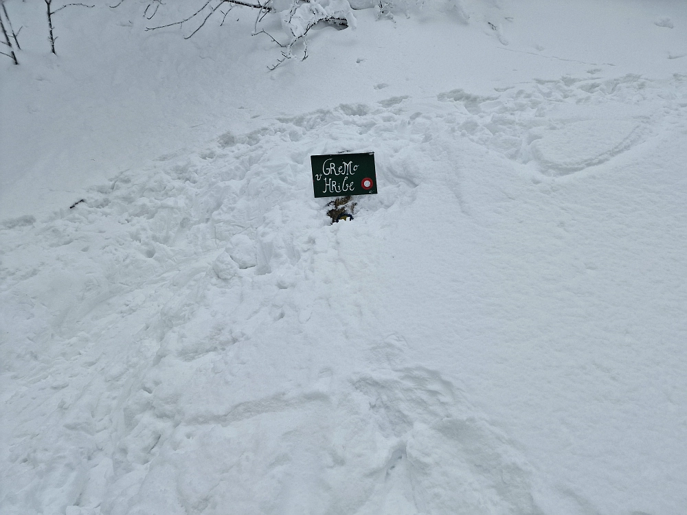 Slika je vidna v Google Chromu.
