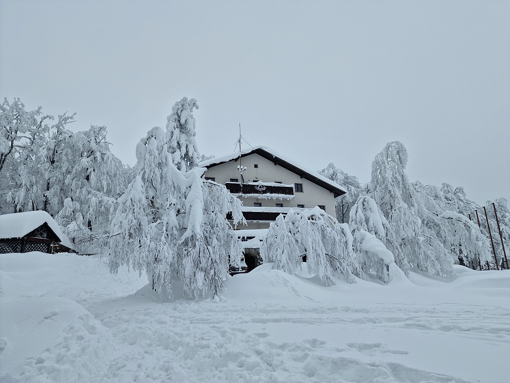 Slika je vidna v Google Chromu.