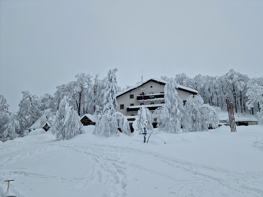 Slika je vidna v Google Chromu.