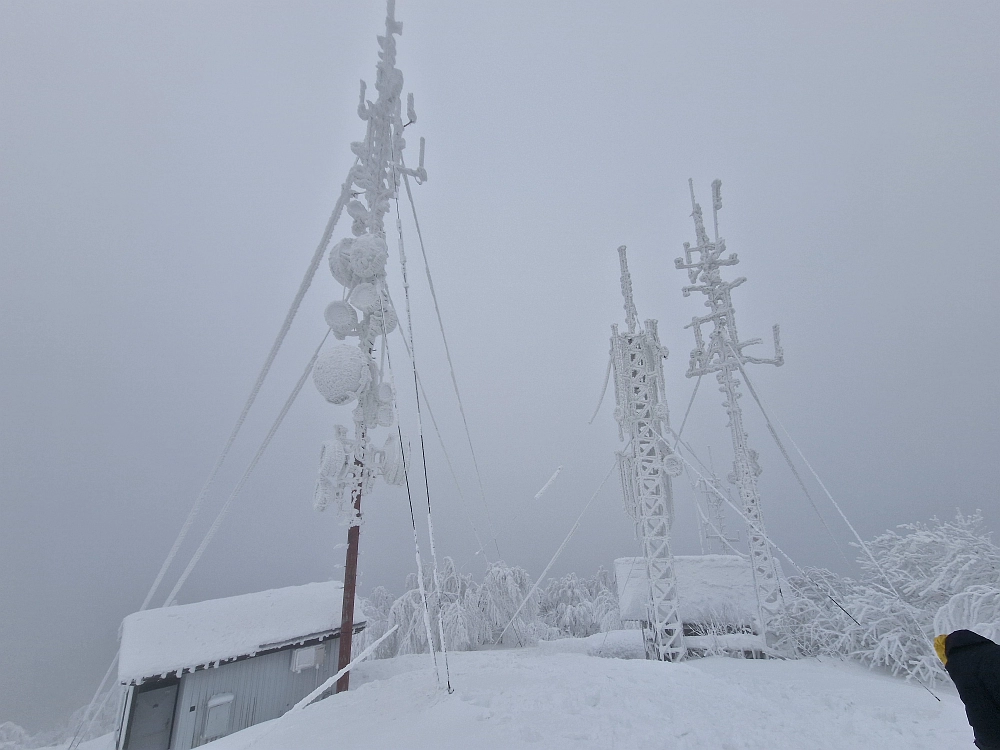 Slika je vidna v Google Chromu.
