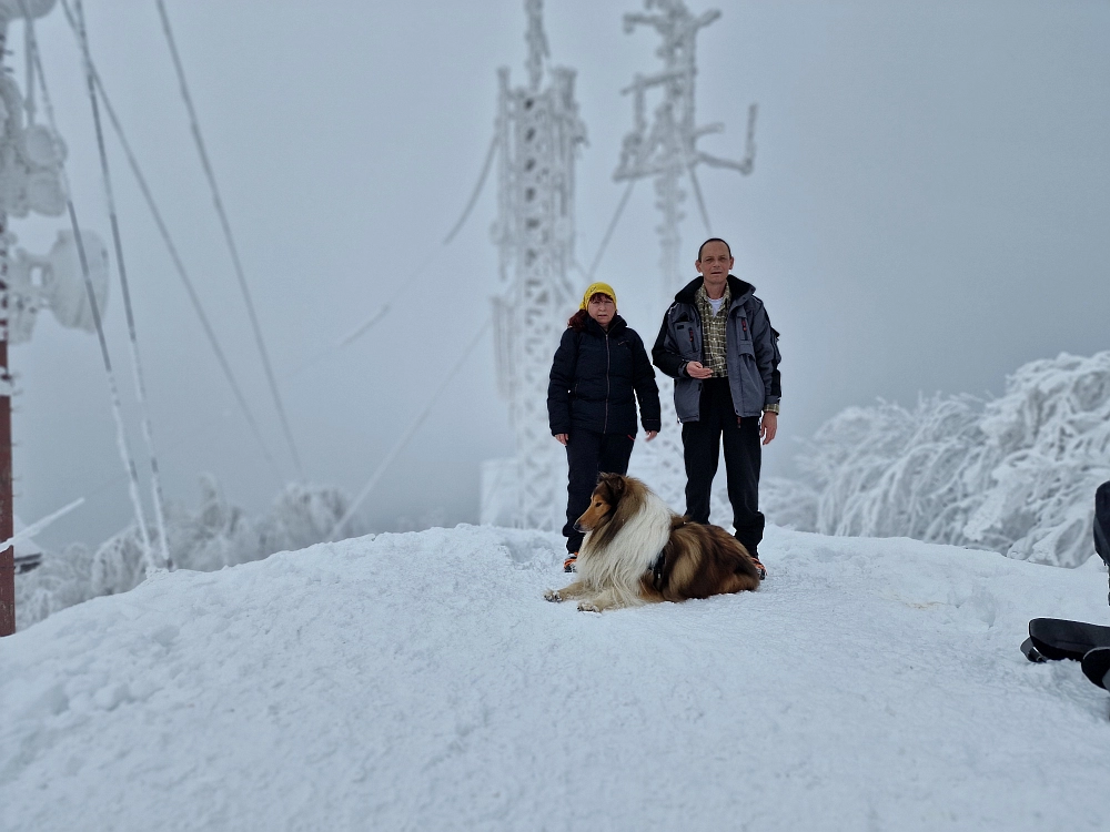 Slika je vidna v Google Chromu.