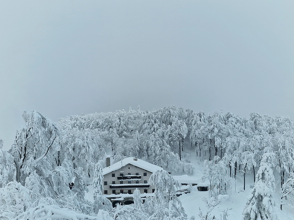 Slika je vidna v Google Chromu.