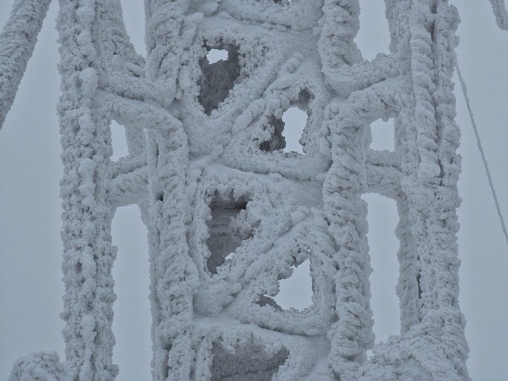 Slika je vidna v Google Chromu.