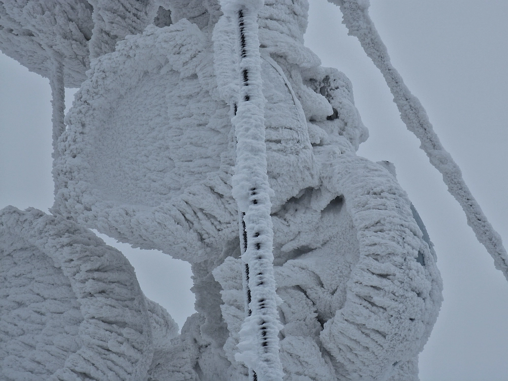 Slika je vidna v Google Chromu.