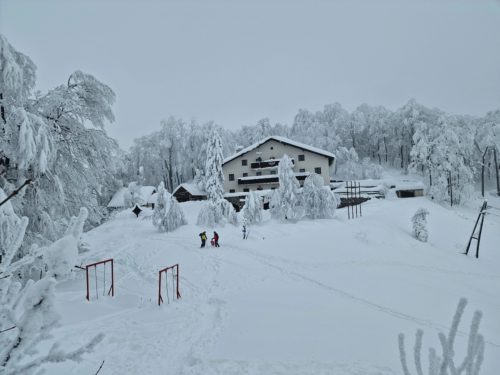 Slika je vidna v Google Chromu.