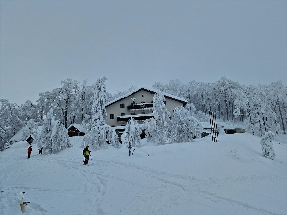 Slika je vidna v Google Chromu.