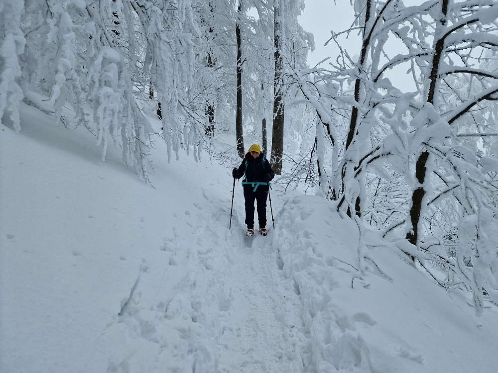 Slika je vidna v Google Chromu.