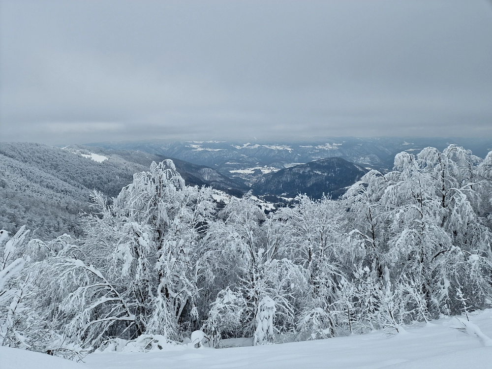 Slika je vidna v Google Chromu.