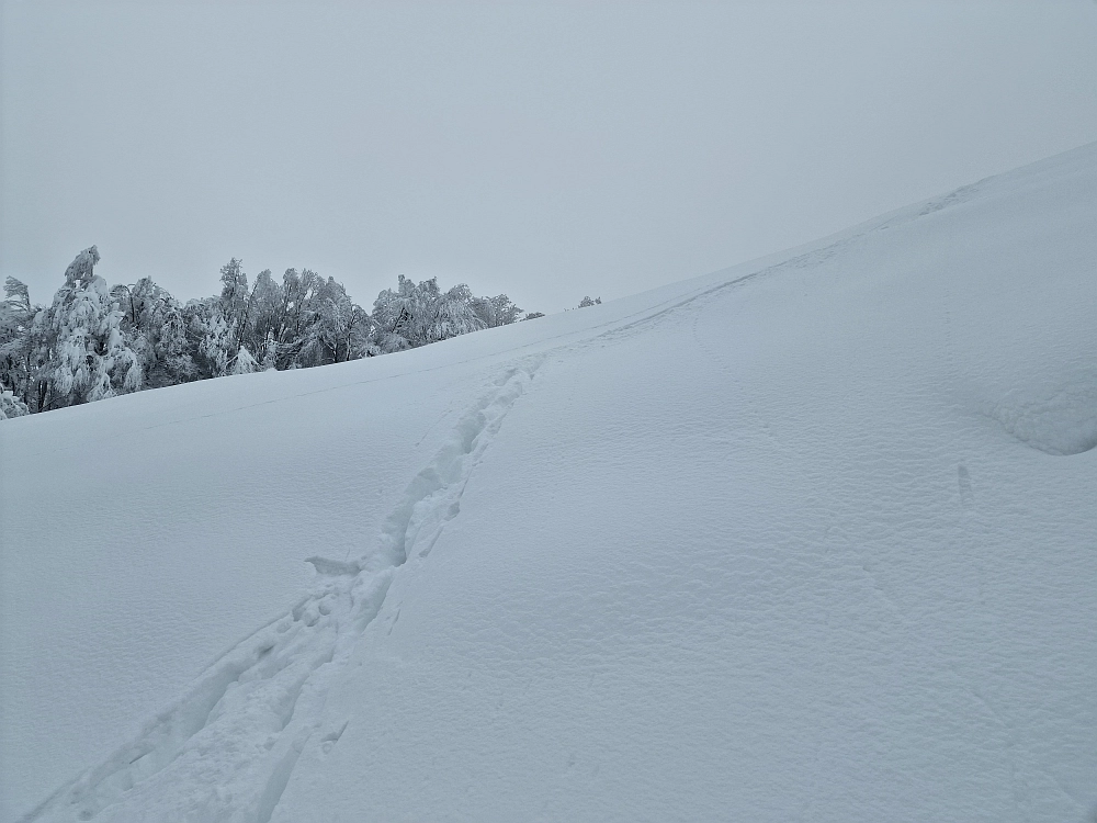 Slika je vidna v Google Chromu.