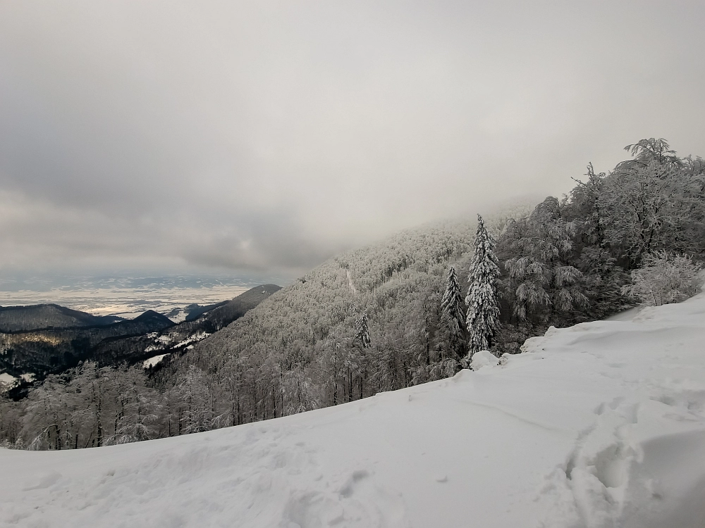 Slika je vidna v Google Chromu.