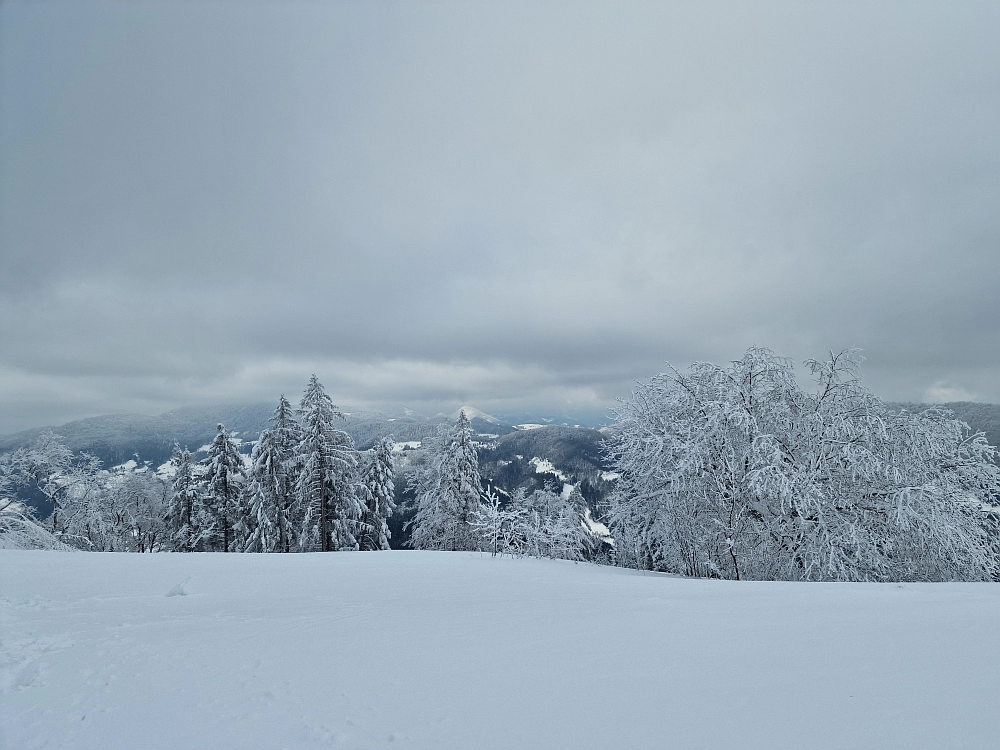 Slika je vidna v Google Chromu.