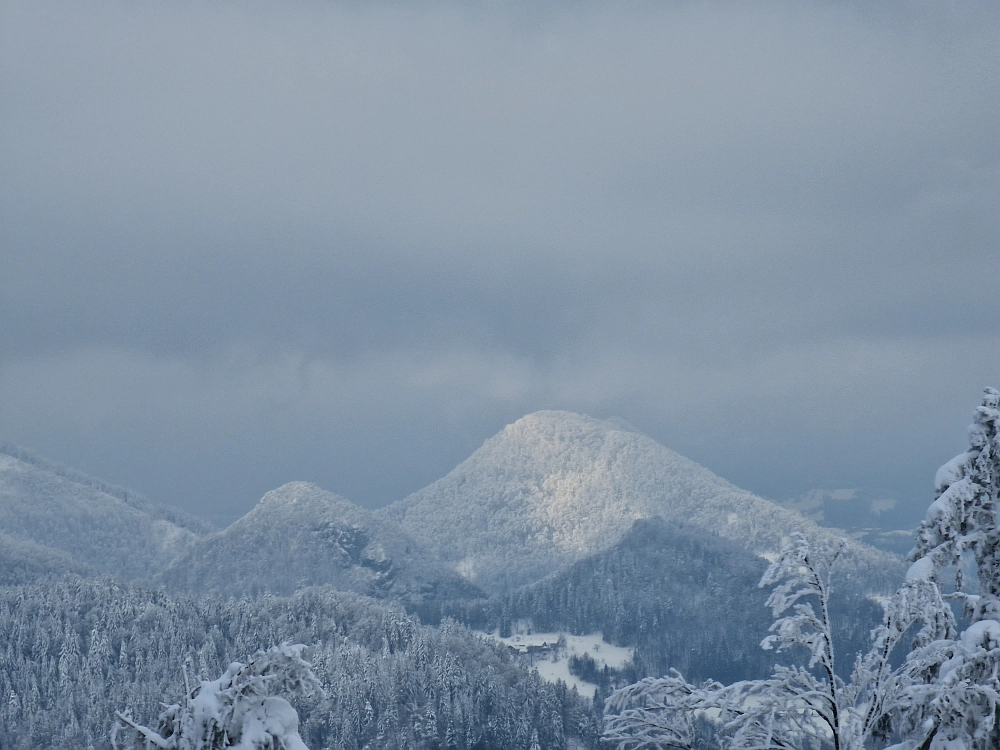 Slika je vidna v Google Chromu.