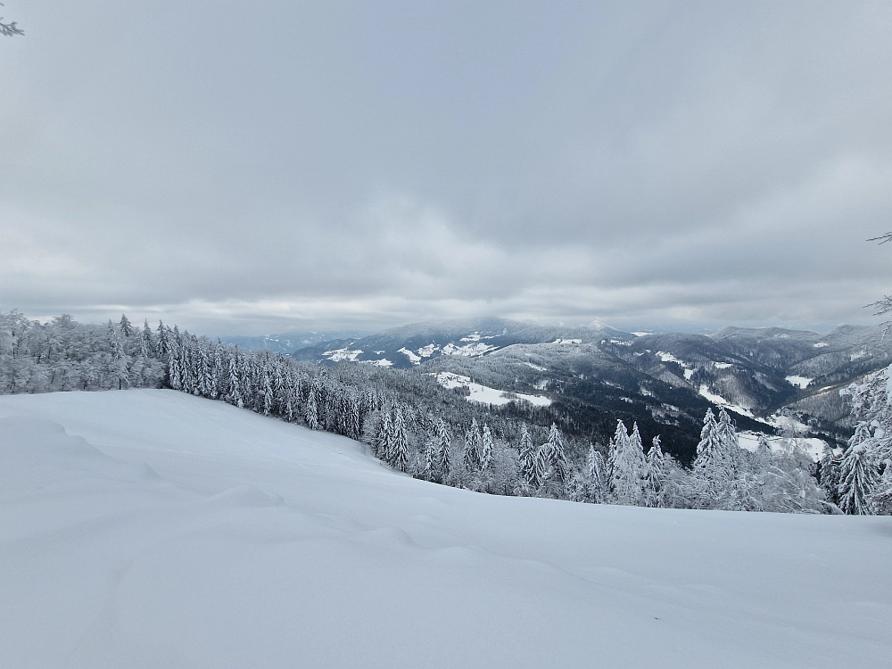 Slika je vidna v Google Chromu.