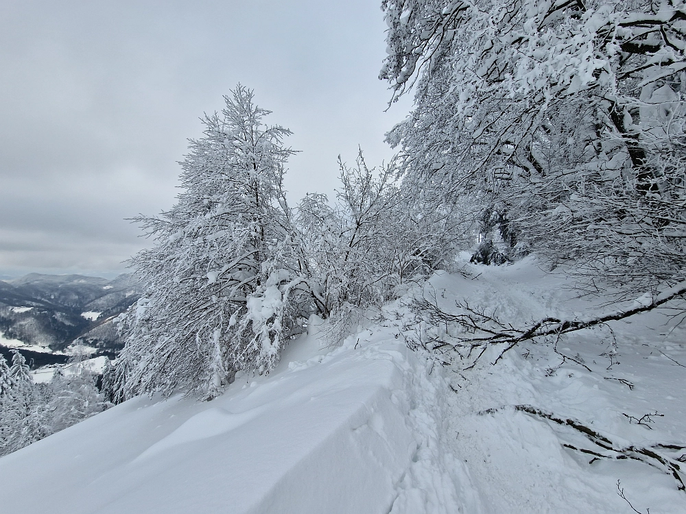 Slika je vidna v Google Chromu.