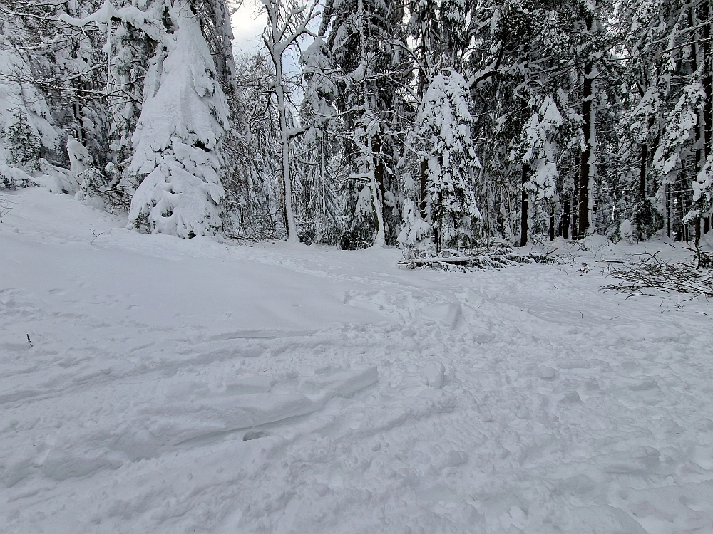 Slika je vidna v Google Chromu.
