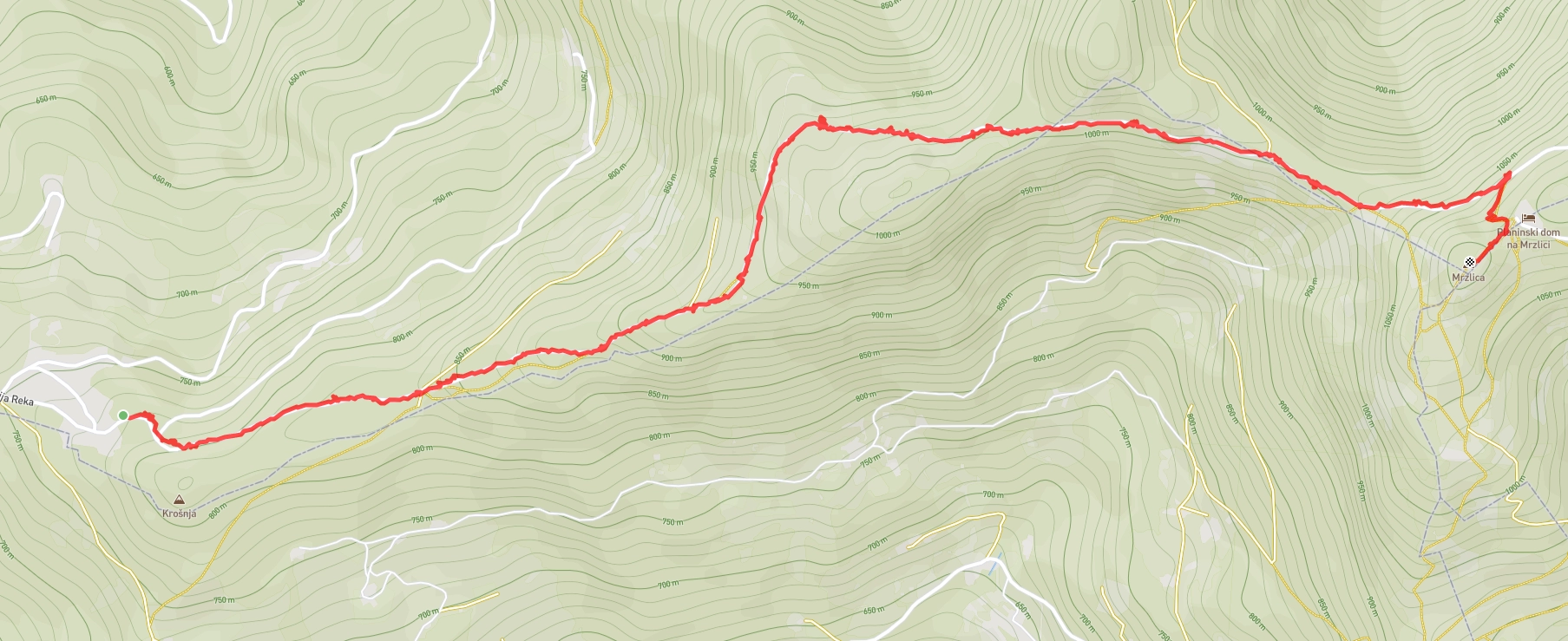 Slika je vidna v Google Chromu.