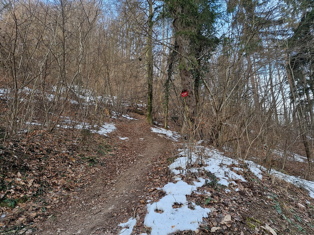 Slika je vidna v Google Chromu.