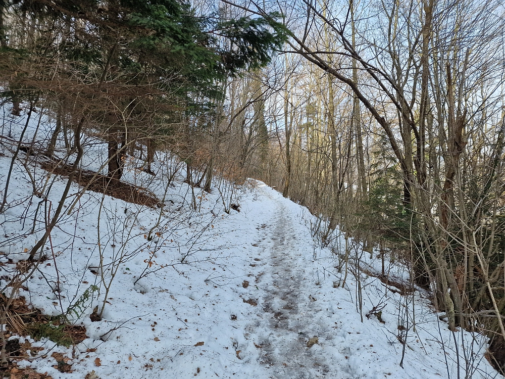 Slika je vidna v Google Chromu.