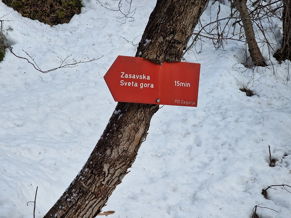 Slika je vidna v Google Chromu.