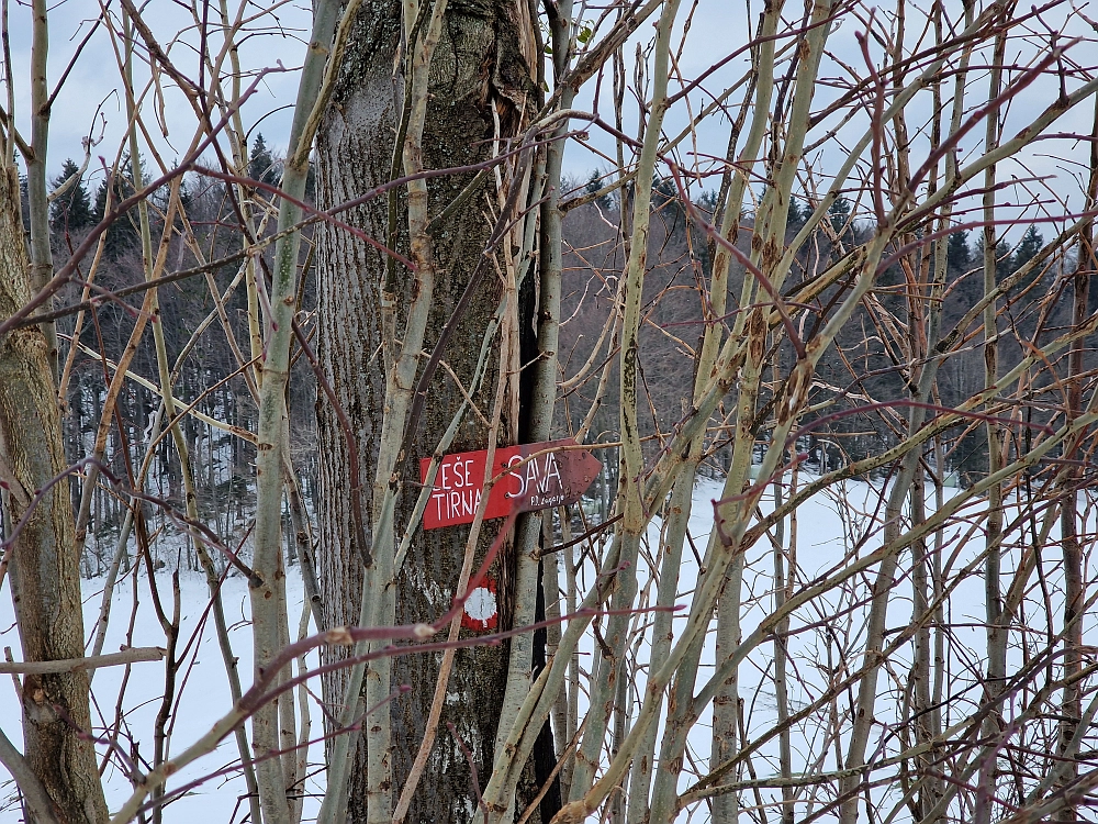 Slika je vidna v Google Chromu.