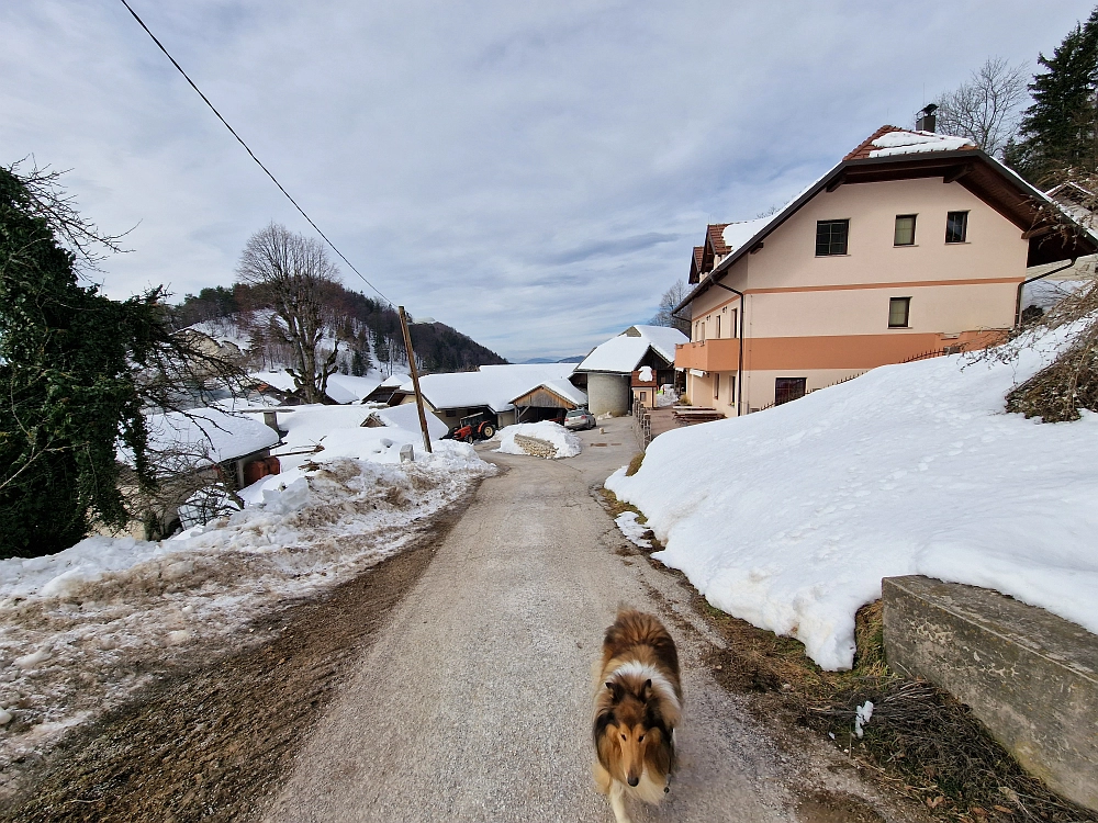 Slika je vidna v Google Chromu.
