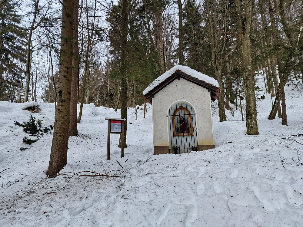 Slika je vidna v Google Chromu.