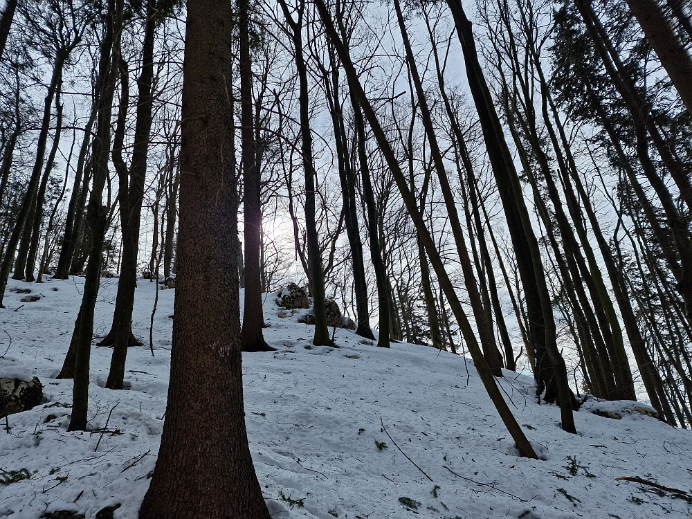 Slika je vidna v Google Chromu.