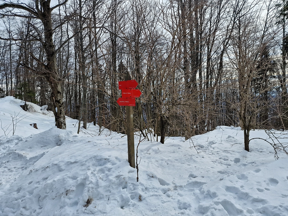 Slika je vidna v Google Chromu.