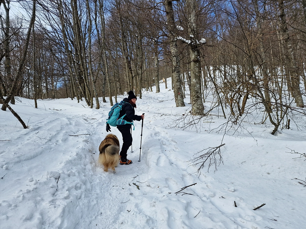 Slika je vidna v Google Chromu.