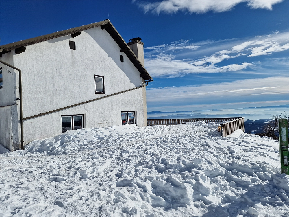 Slika je vidna v Google Chromu.