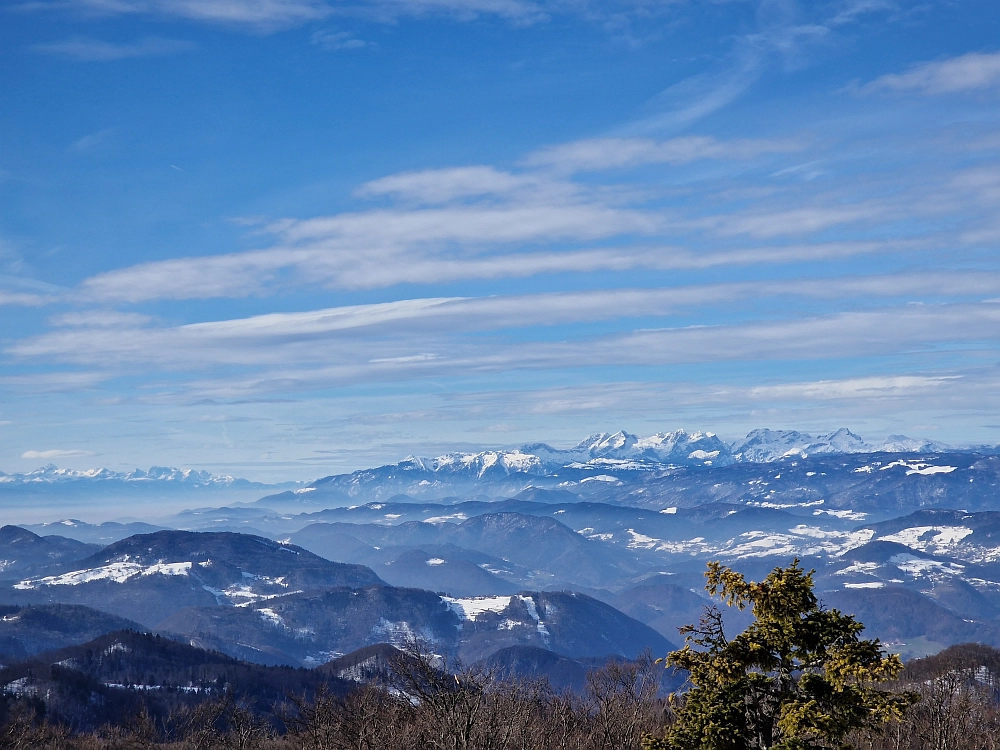 Slika je vidna v Google Chromu.