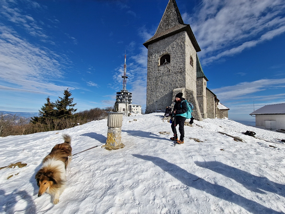 Slika je vidna v Google Chromu.