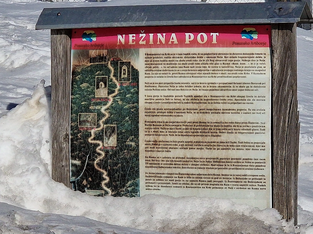 Slika je vidna v Google Chromu.