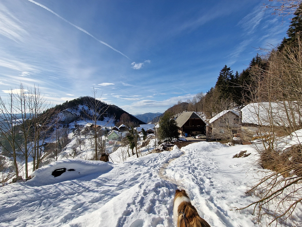 Slika je vidna v Google Chromu.