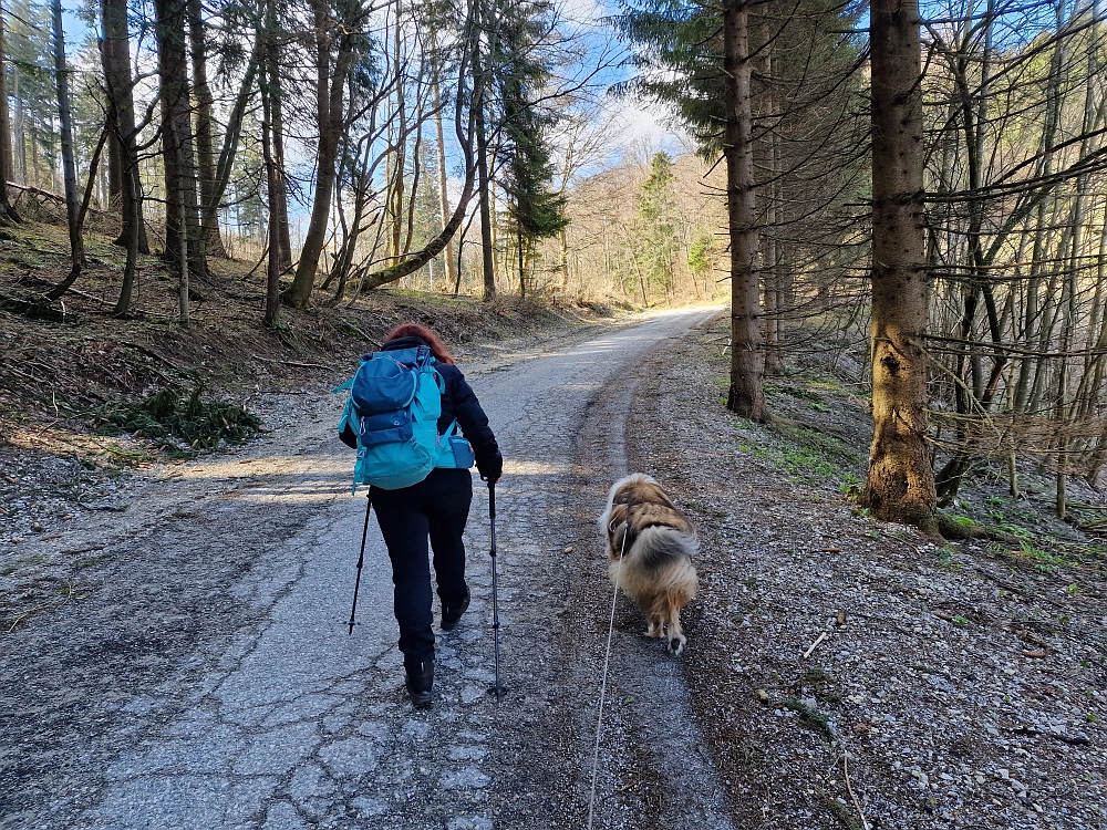 Slika je vidna v Google Chromu.