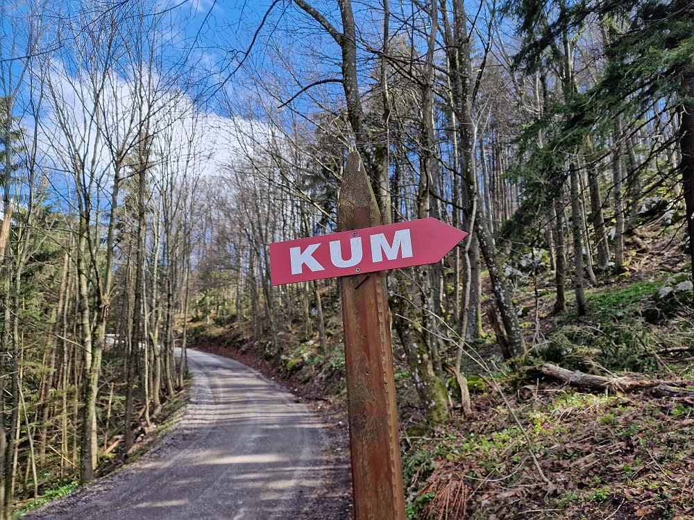 Slika je vidna v Google Chromu.