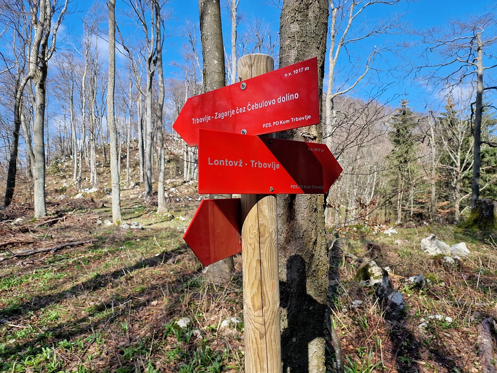 Slika je vidna v Google Chromu.